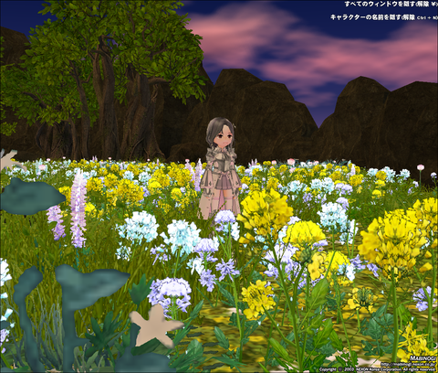 mabinogi_2021_04_06_233101