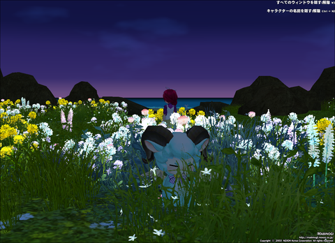 mabinogi_2020_08_13_005