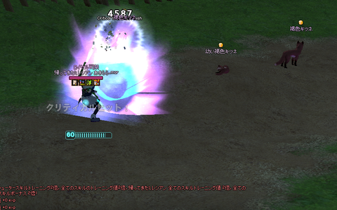 mabinogi_2021_01_22_232940