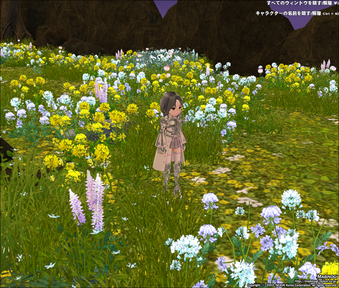 mabinogi_2021_04_06_233056