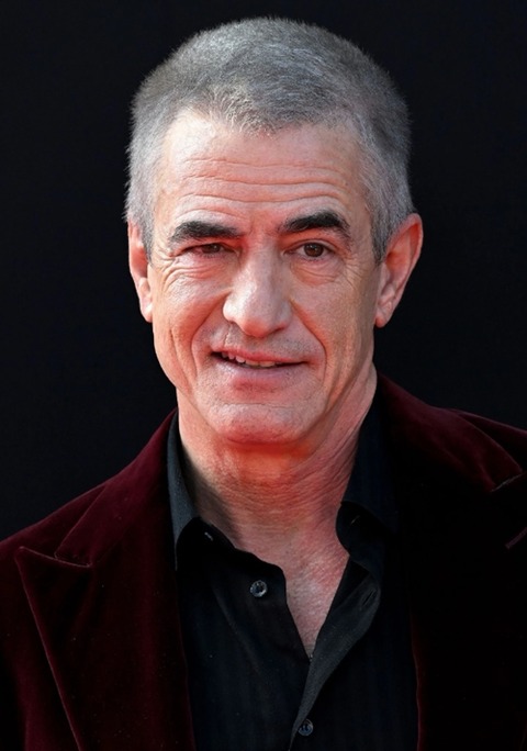 Dermot Mulroney