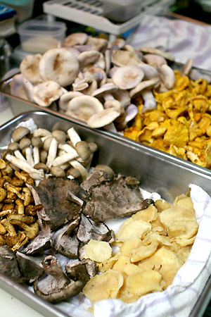 c0158397_1212184.jpg