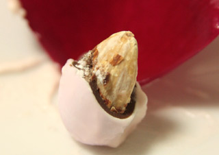 c0158397_22275227.jpg