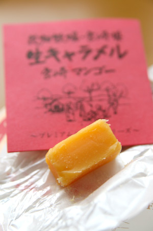 c0158397_12381581.jpg