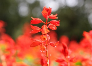 H240927s009