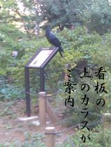 SN3F0032