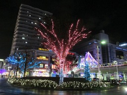 H261201ixy003