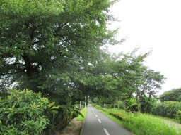 H290725IXYs001
