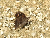 20260519s092