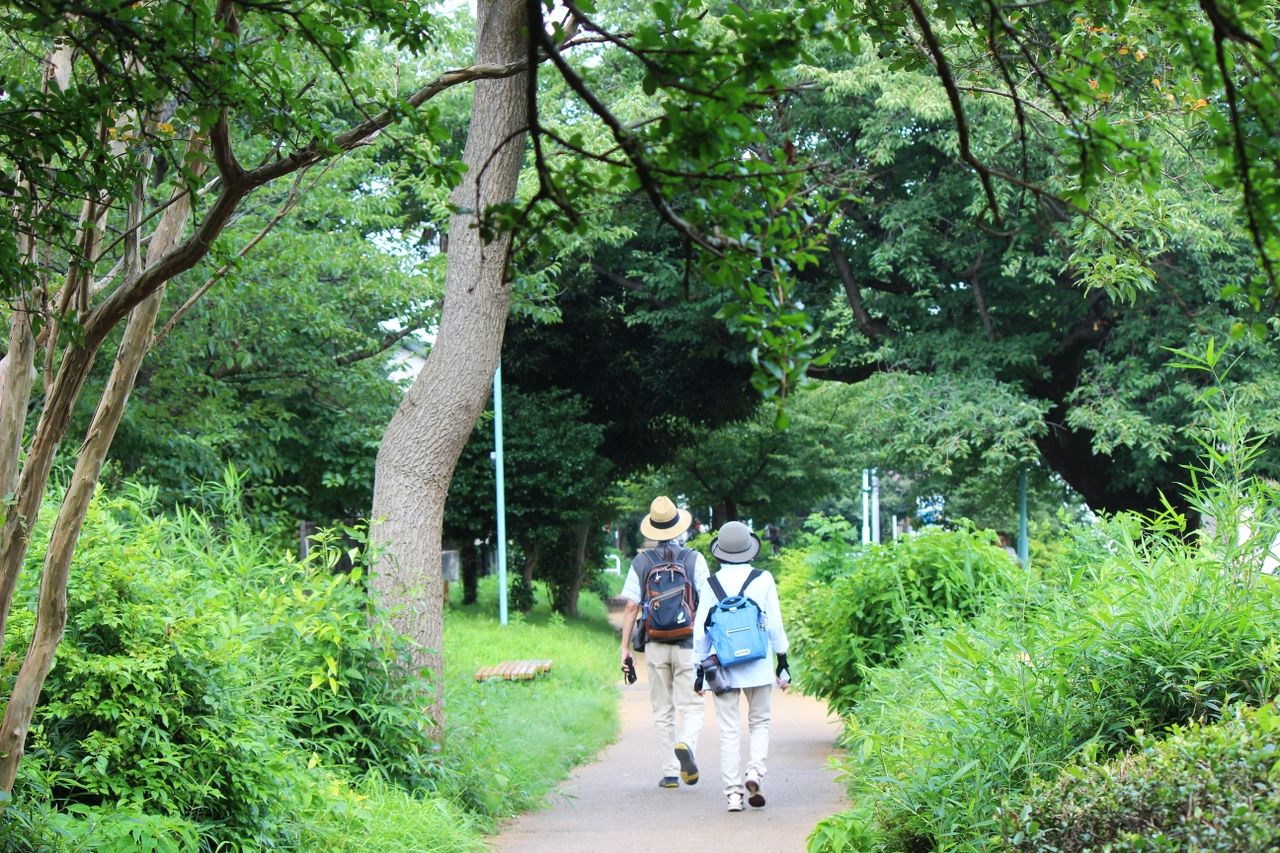 生禿日記 多摩湖自転車道をお散歩 19 8 1 その２