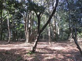 20201130IXYs001