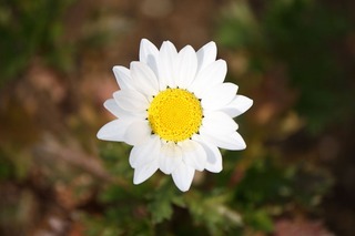 H240101s060