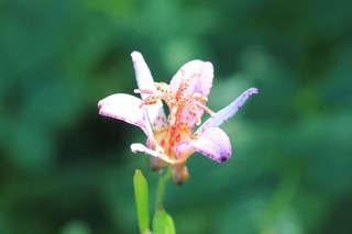 H251027s069