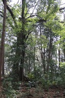 H290410X2s191�п����