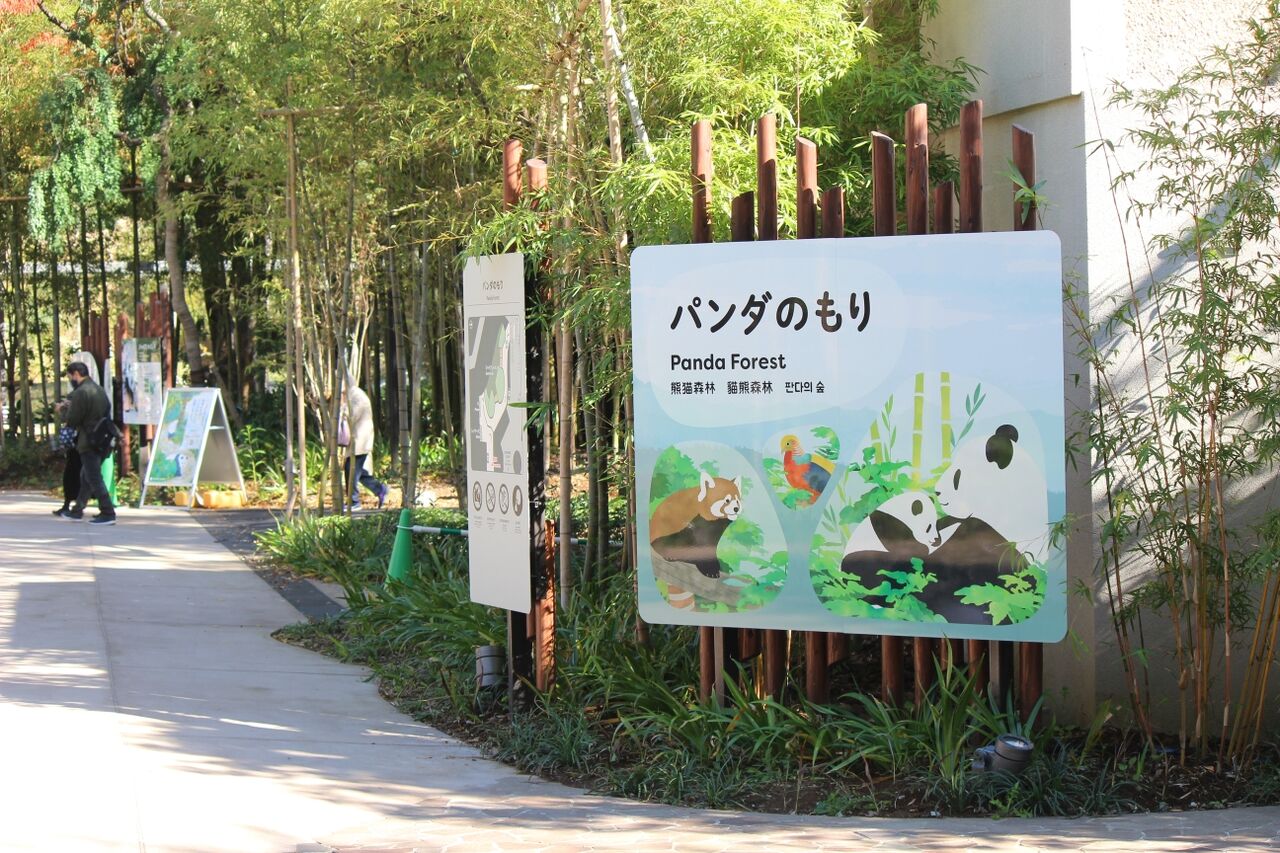 生禿日記 新設されたパンダの森 上野動物園 11 4