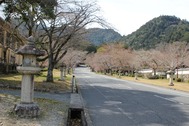 20250329s8081