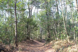 H310114Xs003
