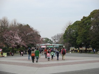 H260326s001