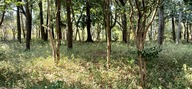 KIMG20260329_131702331