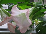 091129h17