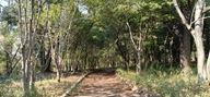 KIMG20260329_131744418