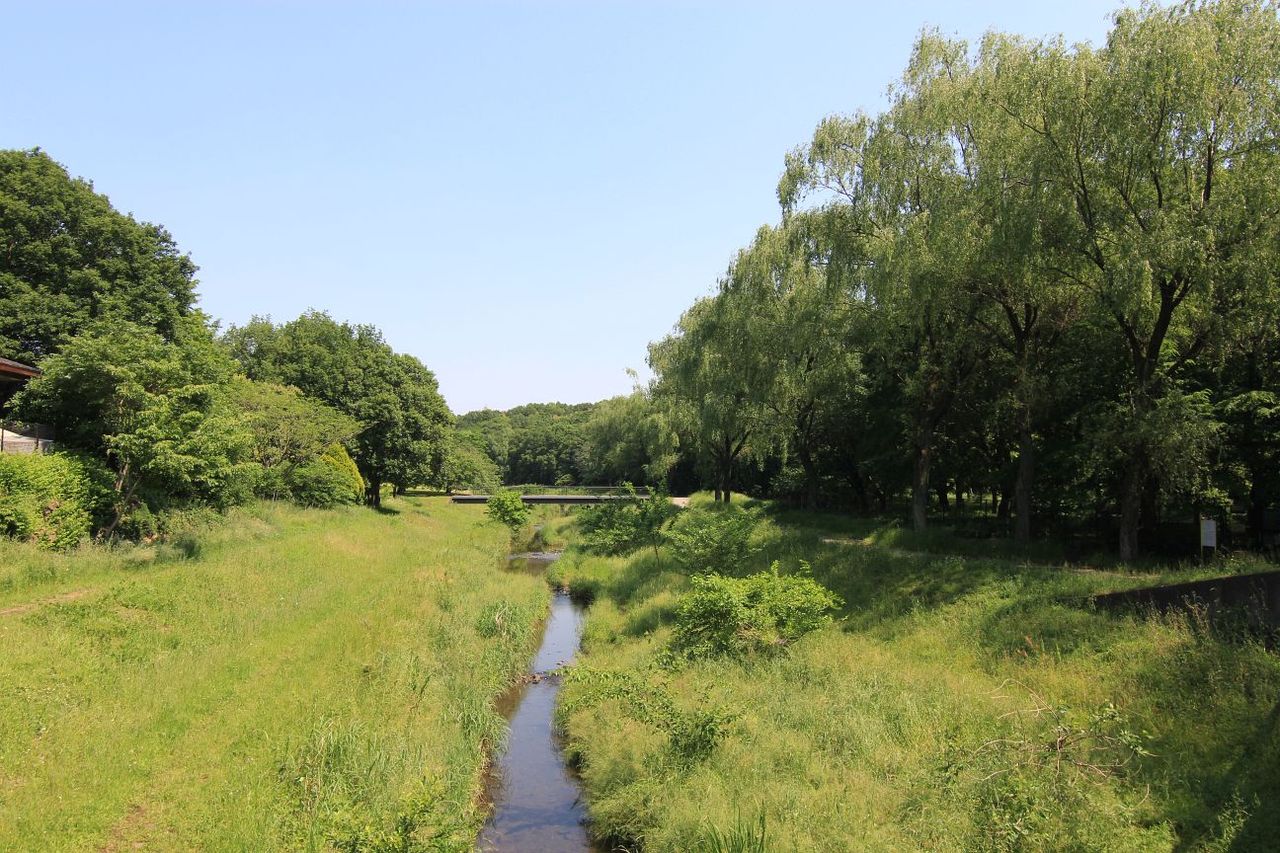 生禿日記 バードサンクチュアリ巡り 生禿日記 バードサンクチュアリ巡り