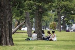 H280523NEX008������