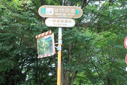 H270625s017