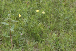 H240430s042
