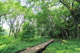 H270625s052