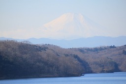 H310114Xs034