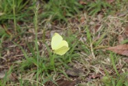 20260413s1450