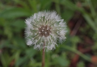 H240430s020