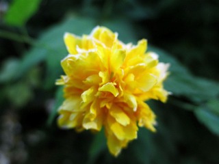 H260728ixy006