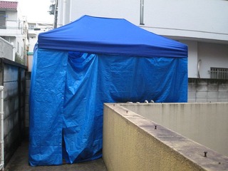 H240209s011