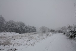 H300122X2s039