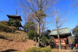 H310114Xs200