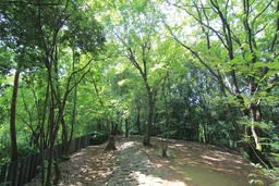 H270725x4s205