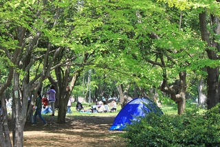 H260510s088