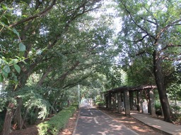 H270802ixy014