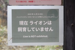 20191217X5s176
