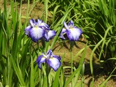 20260519s083