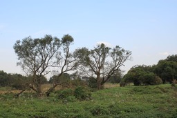 H301026X4s019