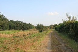 H301026X4s011