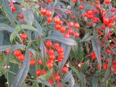 20201130IXYs005