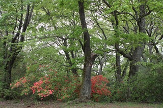 H240430s070