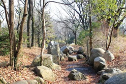 H300118X4s232