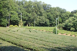 H300527X4s056