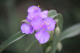 H281028x4s002
