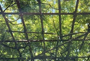20260505s105807527